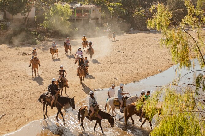 Sea Safari & Beach BBQ at secluded Pizota jungle beach - The horseback ride reality check: short trails, dust, and animal care