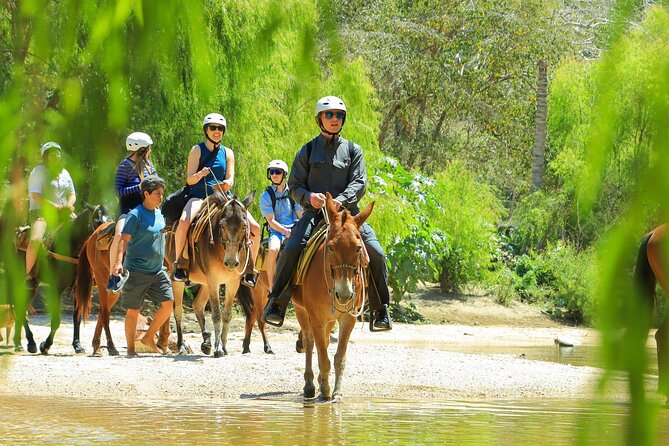 Sea Safari & Beach BBQ at secluded Pizota jungle beach - Price and value: what you get for $169, plus port fees at the end