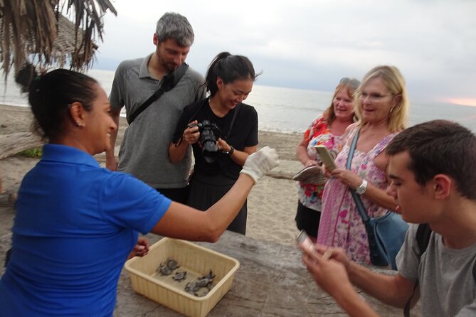 Sea Turtle Release – A Puerto Vallarta Conservation Adventure - The drive to the coast and the beach walk on sand and loose gravel