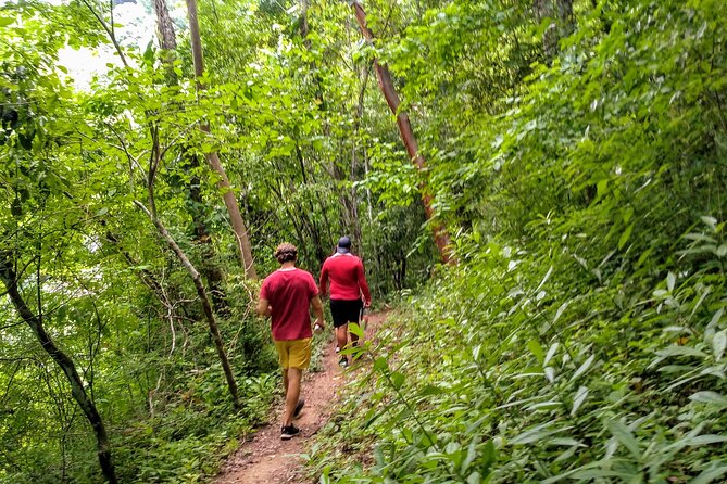 Selva y Playas Exóticas, Senderismo en Puerto Vallarta - What to bring for a comfortable hike-to-beach day