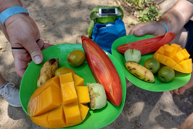 Selva y Playas Exóticas, Senderismo en Puerto Vallarta - The jungle and shoreline climb, where views and wildlife show up