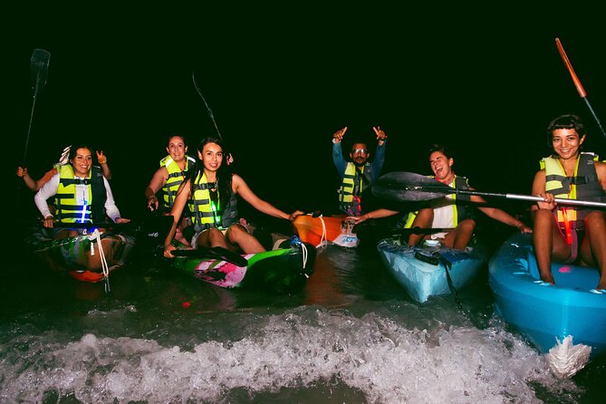 Shared Bioluminescence kayak tour in Holbox - A Night Kayak Under Holbox’s Glow: What It Feels Like