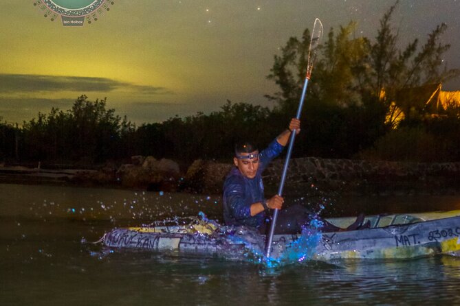 Shared Bioluminescence kayak tour in Holbox - Is Night Kayaking for Beginners?