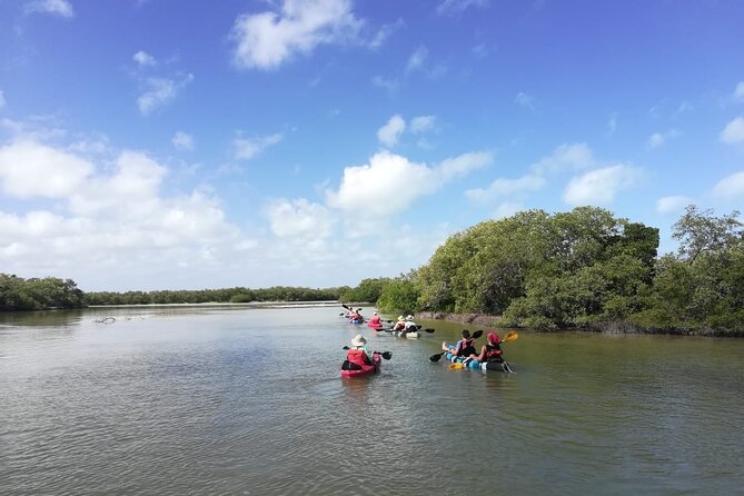 Shared mangroves kayak tour in Holbox - Paddling comfort, gear, and what “moderate fitness” means