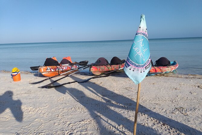 Shared mangroves kayak tour in Holbox - Guides make the difference: how the tour teaches you to see