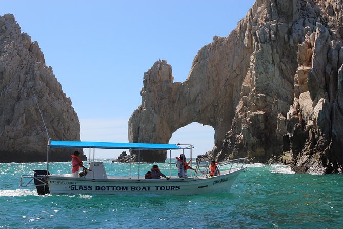 Shared ride to the arch of Cabo San Lucas - Wildlife and photo time: this is where the best guides add value