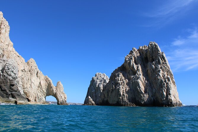 Shared Tour to the Arch of Cabo San Lucas - The glass-bottom boat: what you should expect to see