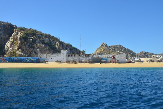 Shared Tour to the Arch of Cabo San Lucas - Sea lions, rock life, and wildlife you can actually spot