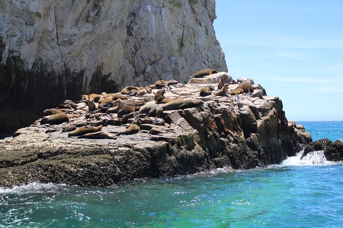Shared Tour to the Arch of Cabo San Lucas - Pacing, timing, and what to bring for a smooth hour