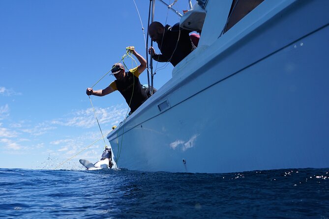Shark Safari & Snorkel Adventure in Cabo San Lucas - What those famous spots mean on this route: El Arco and Lovers Beach