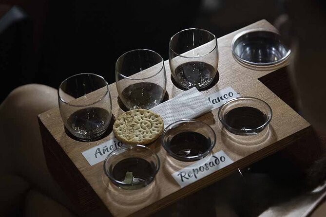 Show Mayahuel + Tequila Tasting - Mayahuel at Teatro Vallarta: a Cirque-style show with a Mexico story