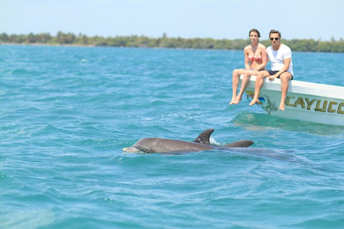 Sian Ka'an Adventure Full Day Trip to Punta Allen - A UNESCO biosphere by boat, with Punta Allen as your real payoff