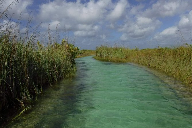 Sian Ka'an Adventure (Private, Full Day) - Stop 1 in Sian Ka’an: Mangroves, Canals, and Bird-Spotting by Boat
