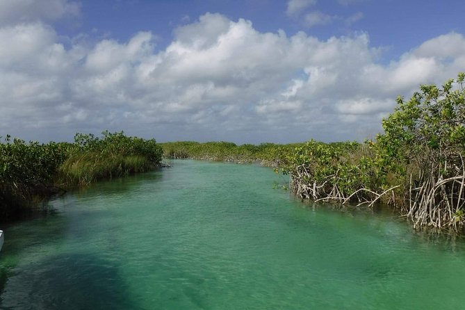 Sian Ka'an Adventure (Private, Full Day) - The “6 Hours” Feel Like More, Because You Actually Get Time to Enjoy