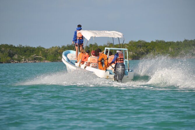 Sian Ka'an Boat Experience from Riviera Maya to Tulum - Wildlife Moments: What You’re Likely to See and How to Improve Your Chances