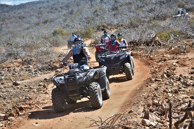 Single ATV Tour from Migriño Beach & Desert - Desert, sand dunes, and mountain views on Baja time
