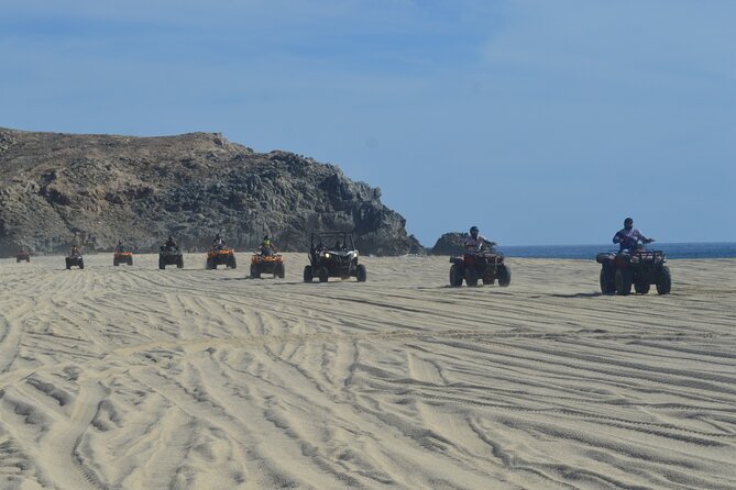 Single ATV Tour from Migriño Beach & Desert - The 50+ cactus lesson that makes the ride feel smarter