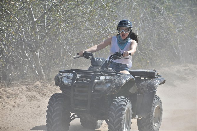 Single ATV Tour from Migriño Beach & Desert - Whale watching built into the ride during the season