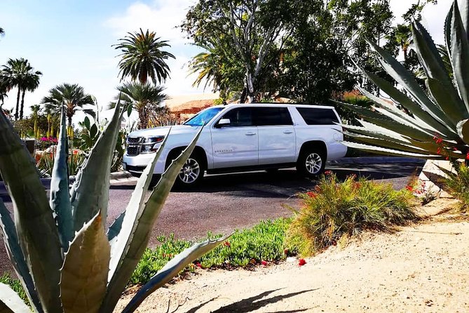 SJD Airport to San Jose del Cabo - one way service - Key Highlights You’ll Notice Right Away