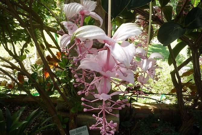 Skip the Line: Vallarta Botanical Garden Admission Ticket - Key Things You’ll Notice Right Away