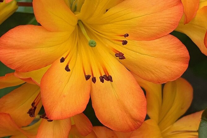 Skip the Line: Vallarta Botanical Garden Admission Ticket - Los Horcones River Swim: The Refreshing Break