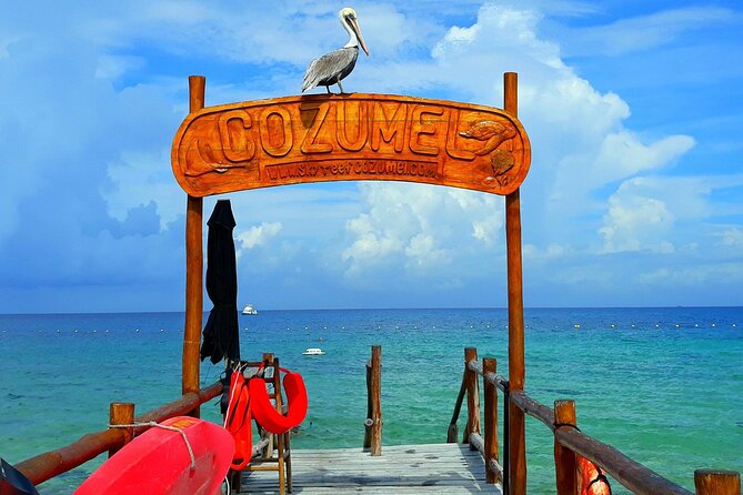 SkyReef Cozumel Snorkel & Tequila Tasting - Tequila tasting: fun, informative, and tip-based (watch for that)