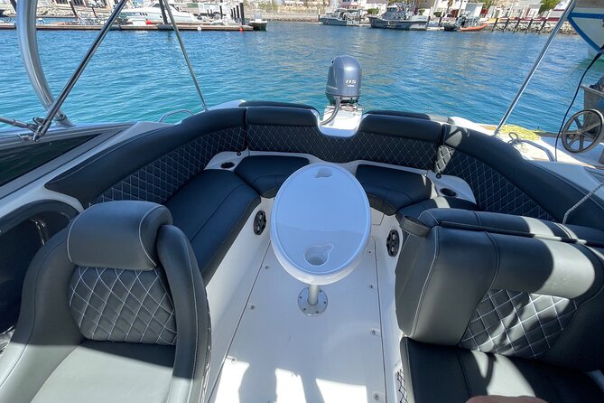 Small boat rental in cabo - Yamaha 28ft. - Wildlife Chances: Why Flexibility Is Part of the Value