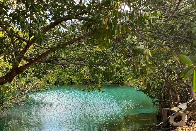 Small-Group 3 Cenotes Adventure Tour - Lunch, Snacks, and Guide Energy (Jessica, Pablo, Marco, Alonso and More)