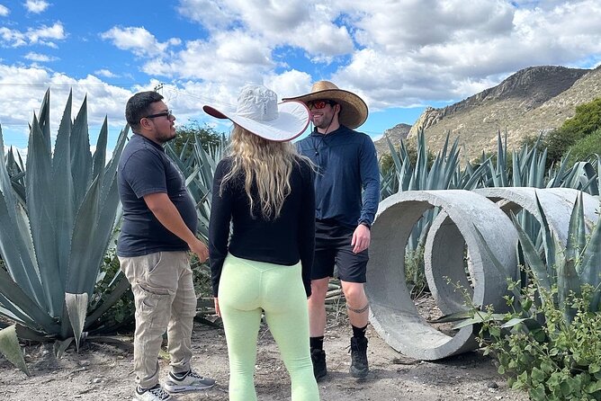 Small Group Boerve del Agua and Mezcal Tour from Oaxaca Centro - Hierve el Agua pools: the reason most people book, plus packing tips