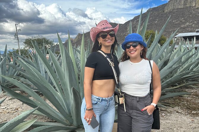 Small Group Boerve del Agua and Mezcal Tour from Oaxaca Centro - San Pablo Villa de Mitla buffet lunch: what you’re paying for
