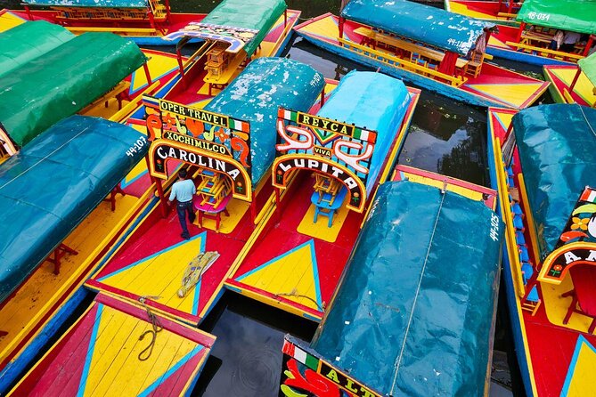 Small Group: Discover Xochimilco, Coyoacán, Frida Kahlo Museum and House - A 9-hour circuit through UNAM, Xochimilco, Coyoacán, and Frida