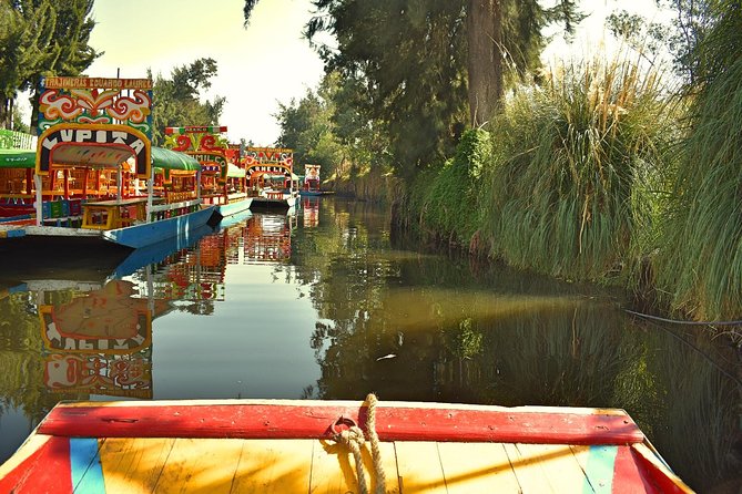 Small Group: Discover Xochimilco, Coyoacán, Frida Kahlo Museum and House - UNAM Central Library: the Diego Rivera mural yard and campus landmarks
