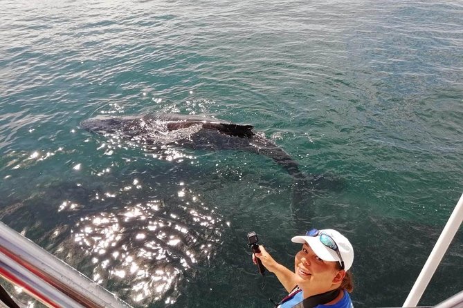 Small-Group Half-Day Whale-Watching Tour in Puerto Vallarta - Lunch and soft drinks: the simple payoff after 3.5 hours on the water