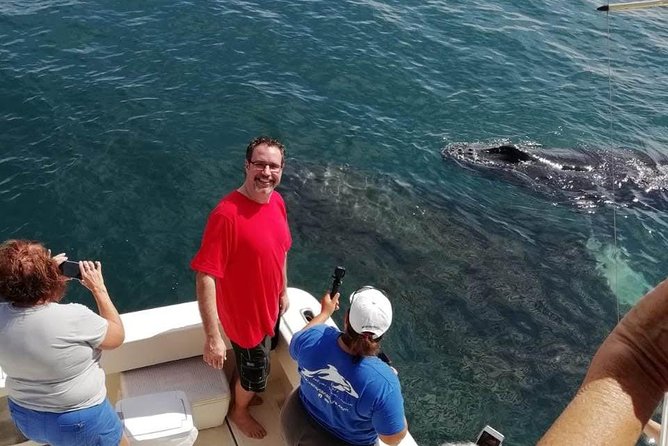 Small-Group Half-Day Whale-Watching Tour in Puerto Vallarta - Seasonality, weather, and the reality of going out on the bay