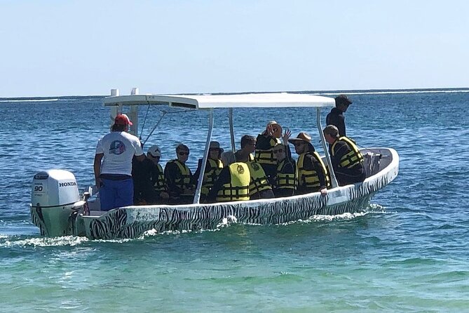 Small-Group Mesoamerican Barrier Reef Snorkeling in Puerto Morelos - Second Snorkel Highlights: Rays, Turtles, and a Reef With Rules