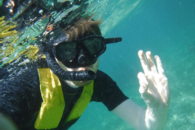 Small-Group Mesoamerican Barrier Reef Snorkeling in Puerto Morelos - Gear, Wetsuits, and Comfort: Why This Tour Works for First-Timers