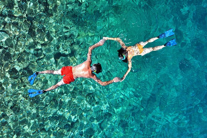 Small-Group Snorkel Adventure in San Jose del Cabo - Where the Trip Starts: Salty Cabo and Your 9:00 AM Kickoff