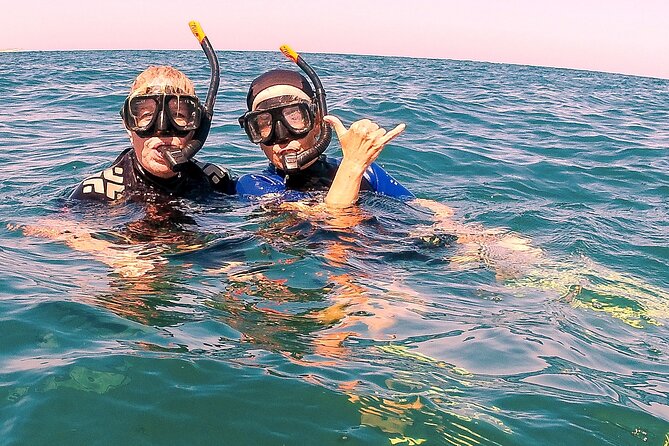 Small-Group Snorkel Adventure in San Jose del Cabo - Wildlife Bonuses Without Losing the Plot