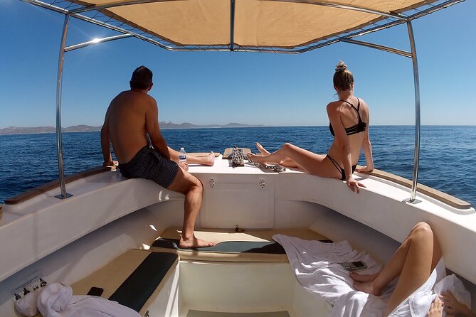 Small-Group Snorkel Adventure in San Jose del Cabo - Who This San Jose del Cabo Snorkel Is Best For