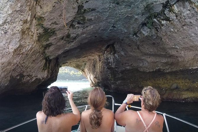 Small Group Snorkeling in Los Arcos, Puerto Vallarta - Los Arcos Snorkeling With a Marine Biologist, Not Just a Tour Guide