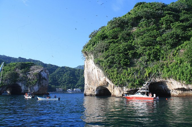 Small Group Snorkeling in Los Arcos, Puerto Vallarta - What’s Included, What’s Not, and How Much You Should Budget