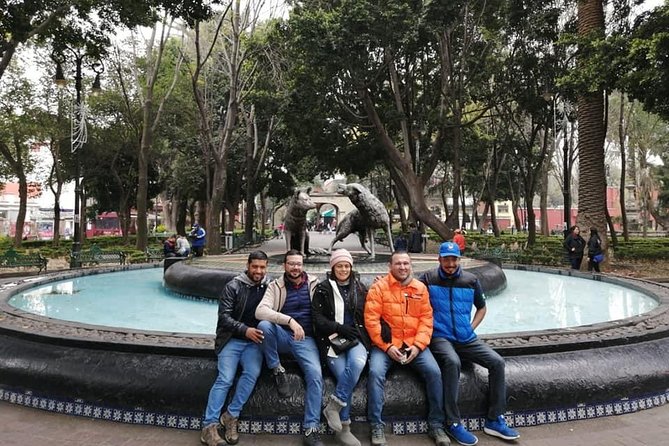Small Groups: Xochimilco and Coyoacan - Stop 2: Ciudad Universitaria, UNAM, and Olympic Stadium Views