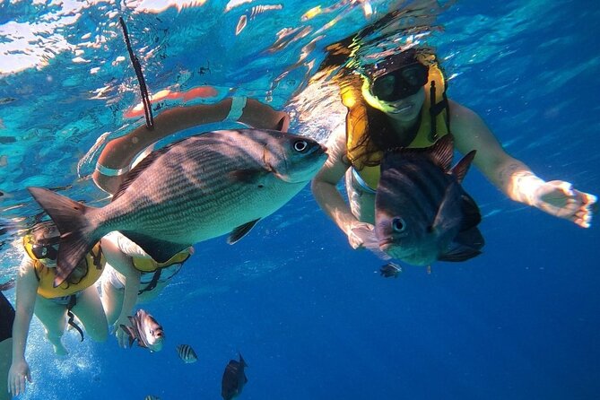 Snorkel along the coast, explore two reefs by Chivis del Mar - The Costa-to-reef rhythm: what the “Centro” stop does for you