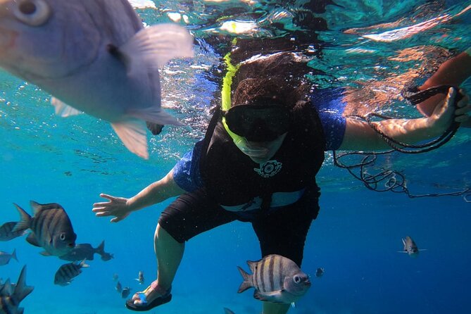 Snorkel along the coast, explore two reefs by Chivis del Mar - What’s included, what isn’t, and what it means for your budget