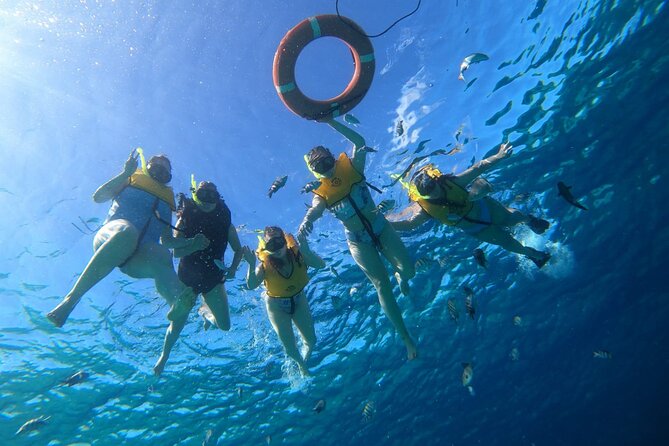 Snorkel along the coast, explore two reefs by Chivis del Mar - Entering the water: gear, safety brief, and the sunscreen no-go