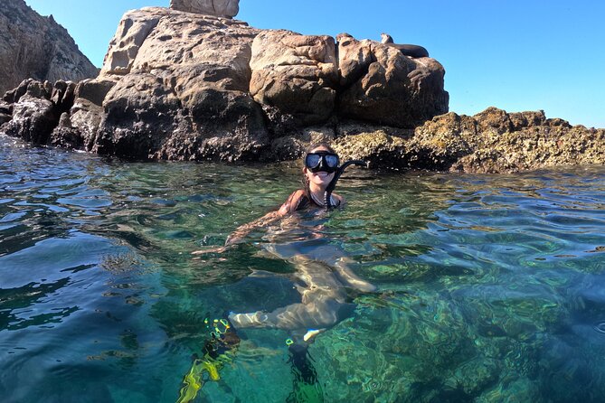 Snorkel and arch tour in los cabos - El Arco, Sea Lions, and Photo Time With Drinks on Board