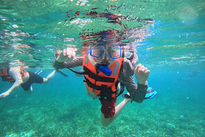 Snorkel at the Reef 2 HOURS Puerto Morelos National park - Key highlights to know before you go