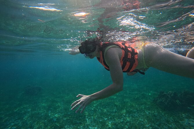 Snorkel at the Reef 2 HOURS Puerto Morelos National park - Puerto Morelos reef time, minus the Cancun chaos