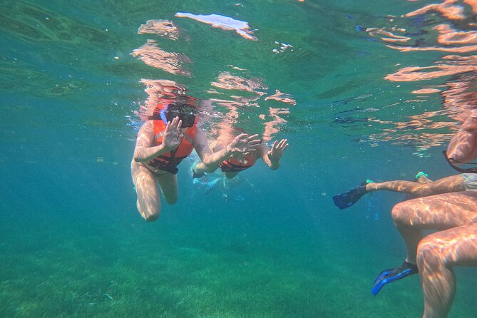Snorkel at the Reef 2 HOURS Puerto Morelos National park - What’s included (and what you should still bring)