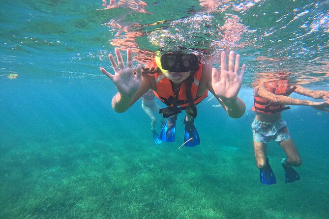 Snorkel at the Reef 2 HOURS Puerto Morelos National park - Small-group comfort, plus why it helps your wildlife spotting